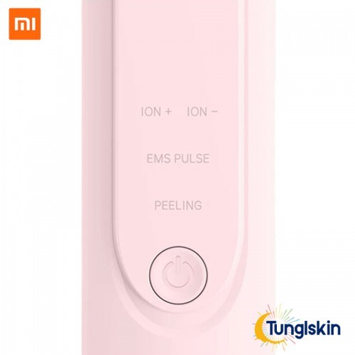 InFace Ion Skin Purifier