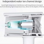 Mi Ionic Hair Dryer