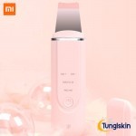 InFace Ion Skin Purifier